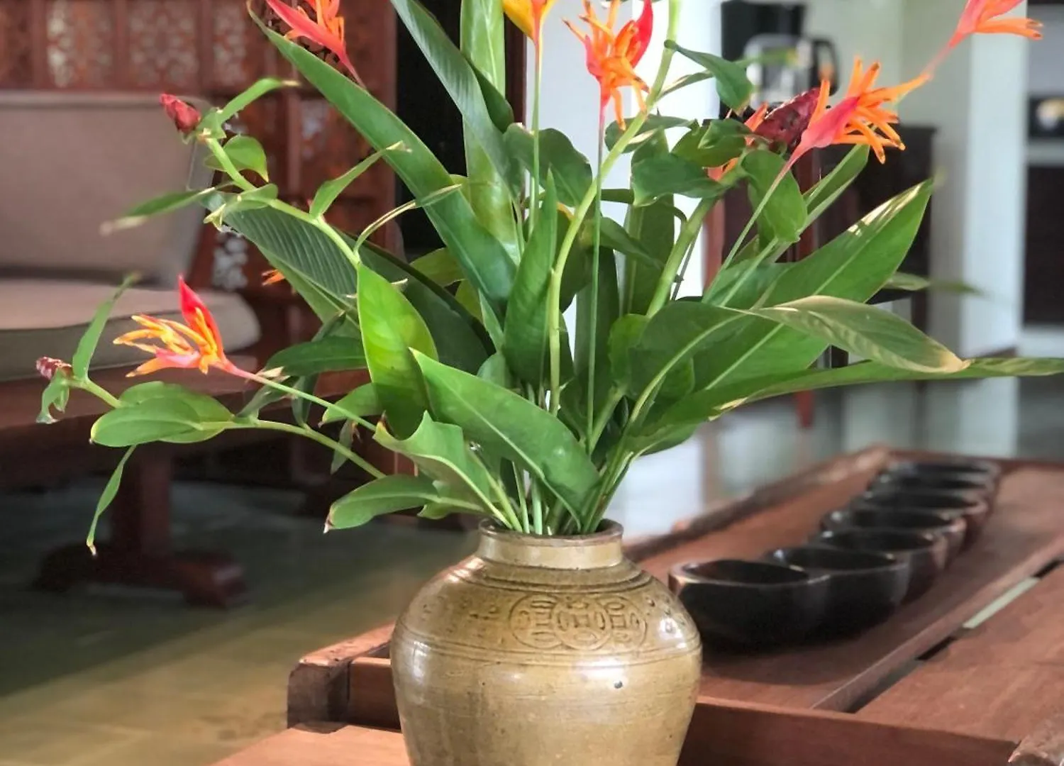 Anicca Villa Hoi An Prázdninový dům